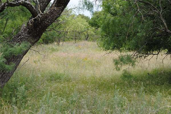 99.4 Acres of Land for Sale in Rising Star, Texas