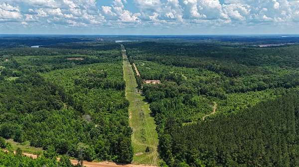 130 Acres of Land for Sale in Avinger, Texas
