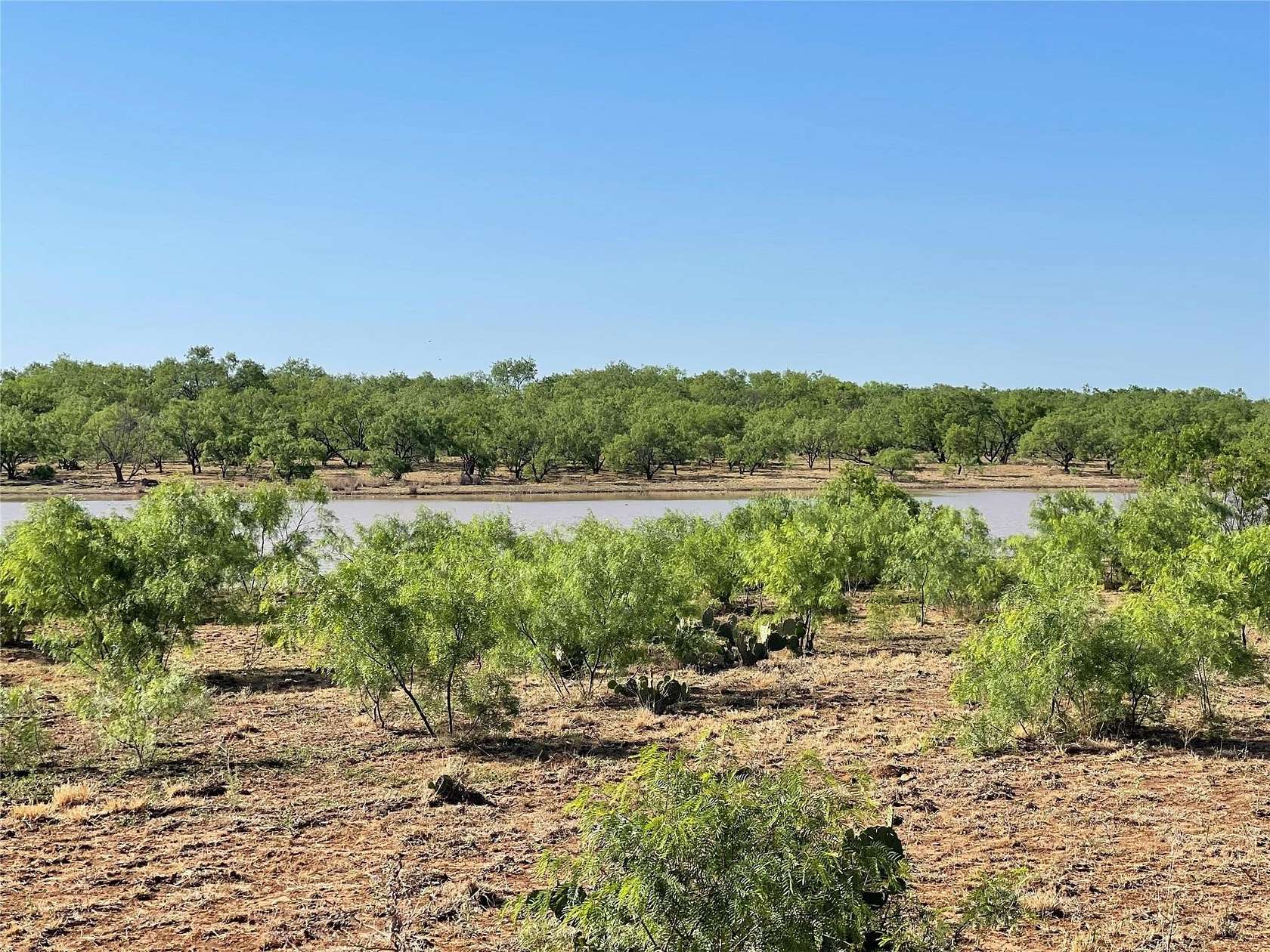 218 Acres of Land for Sale in Gouldbusk, Texas