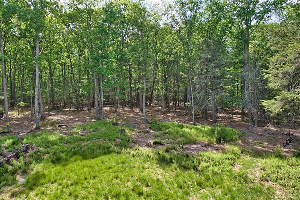 1.78 Acres of Residential Land for Sale in Wurtsboro, New York