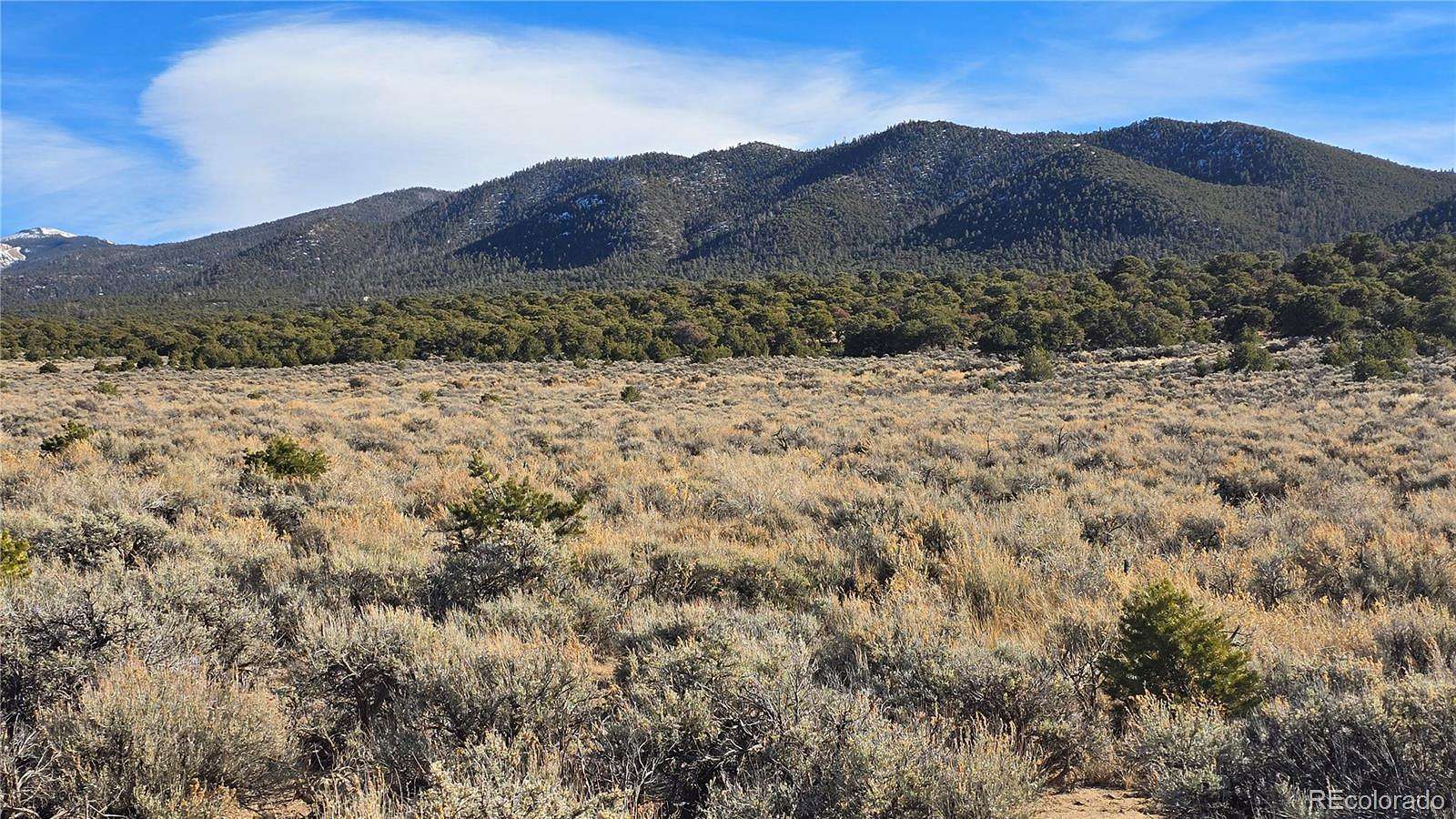 5 Acres of Residential Land for Sale in Fort Garland, Colorado