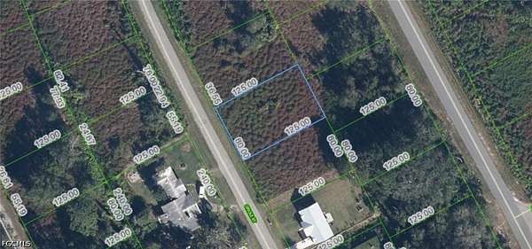 0.23 Acres of Land for Sale in Lake Placid, Florida