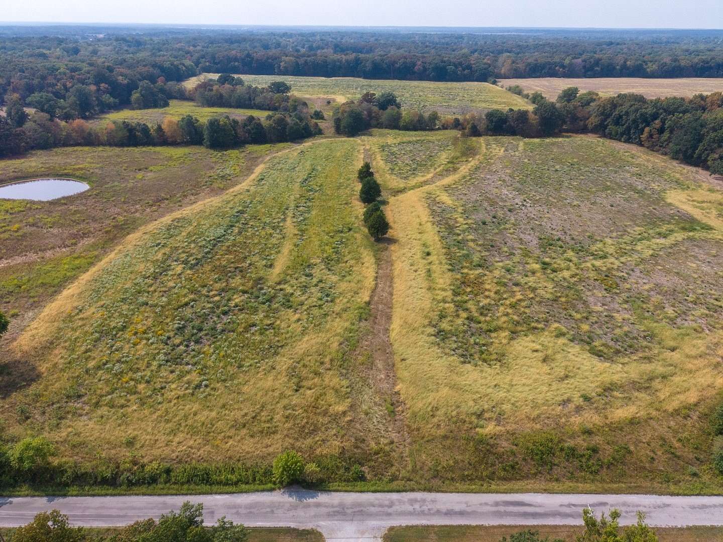 80 Acres of Land for Sale in Opdyke, Illinois