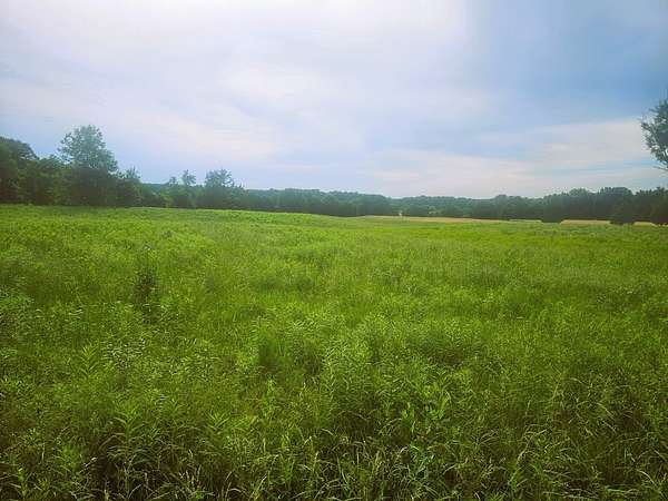 80 Acres of Land for Sale in Opdyke, Illinois