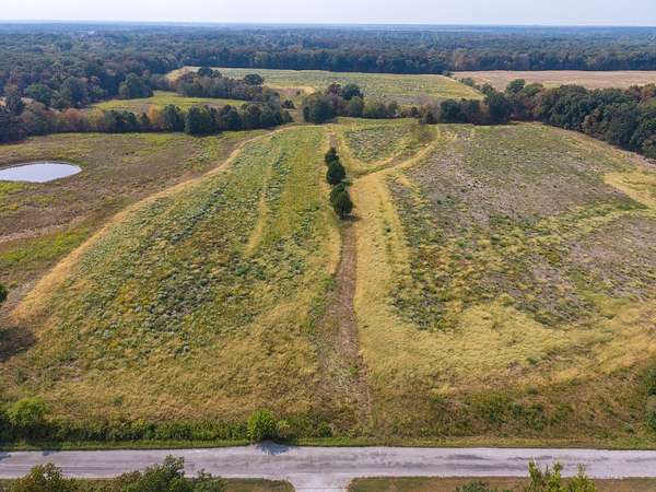 80 Acres of Land for Sale in Opdyke, Illinois