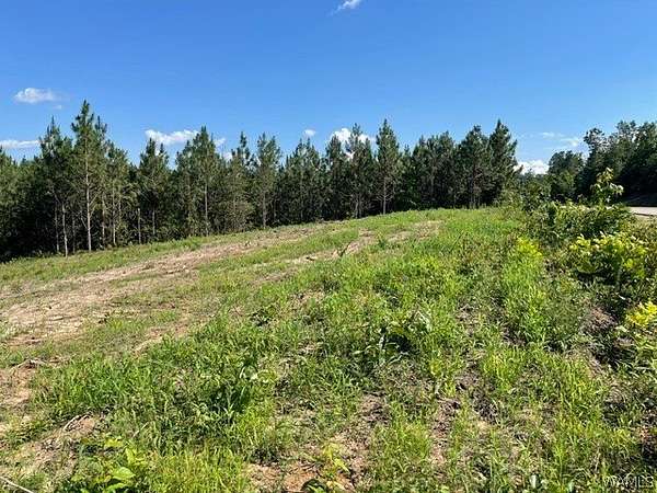1.49 Acres of Residential Land for Sale in Tuscaloosa, Alabama