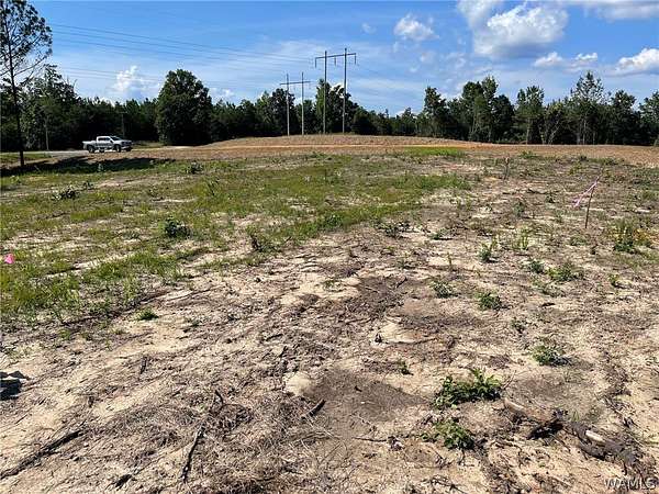 1.1 Acres of Residential Land for Sale in Tuscaloosa, Alabama