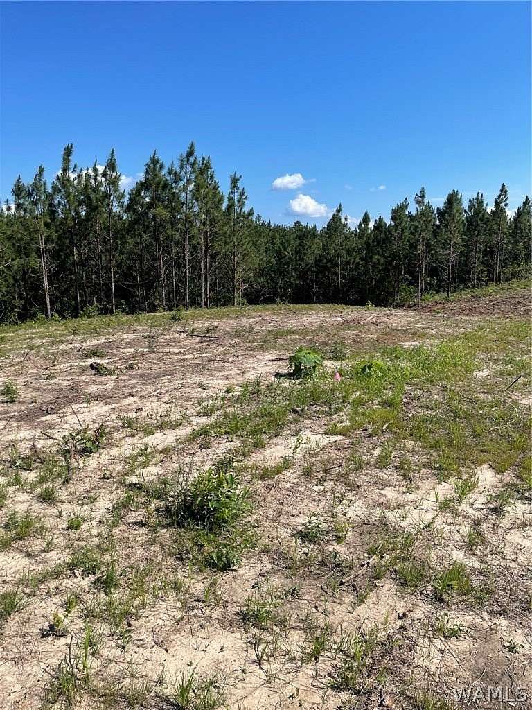 1 Acre of Residential Land for Sale in Tuscaloosa, Alabama