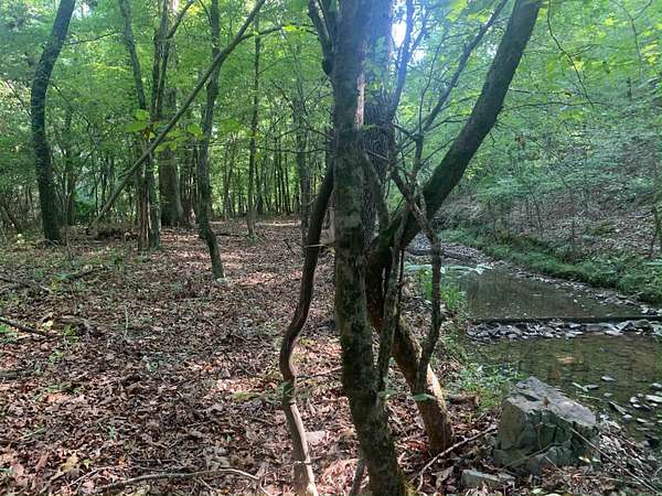 29 Acres of Recreational & Residential Land for Sale in Magnet Cove, Arkansas