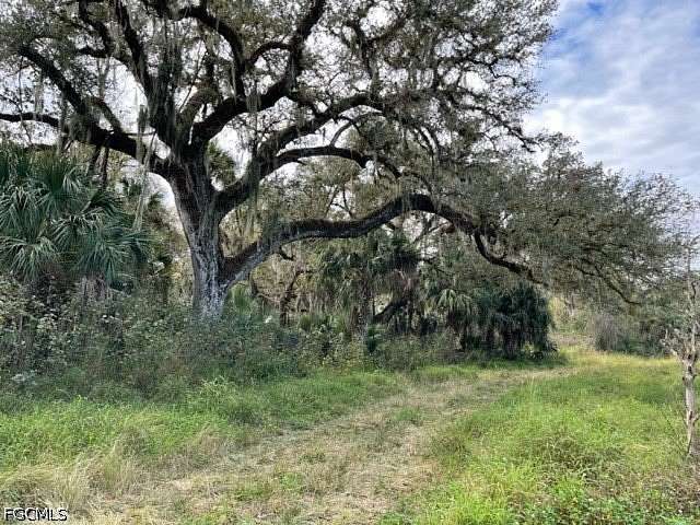 54 Acres of Agricultural Land for Sale in LaBelle, Florida