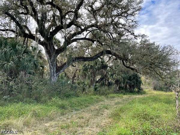 54 Acres of Agricultural Land for Sale in LaBelle, Florida