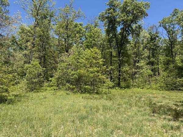 10.1 Acres of Recreational Land for Sale in Baldwin, Michigan