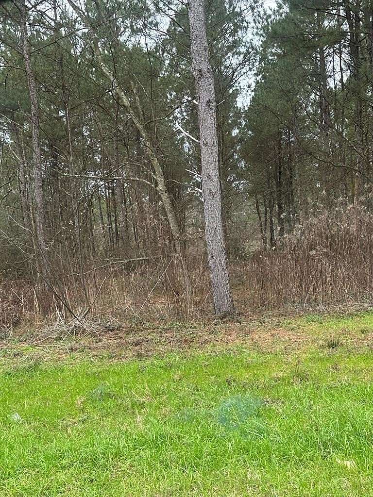 2.84 Acres of Residential Land for Sale in Ellisville, Mississippi