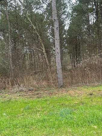 2.84 Acres of Residential Land for Sale in Ellisville, Mississippi