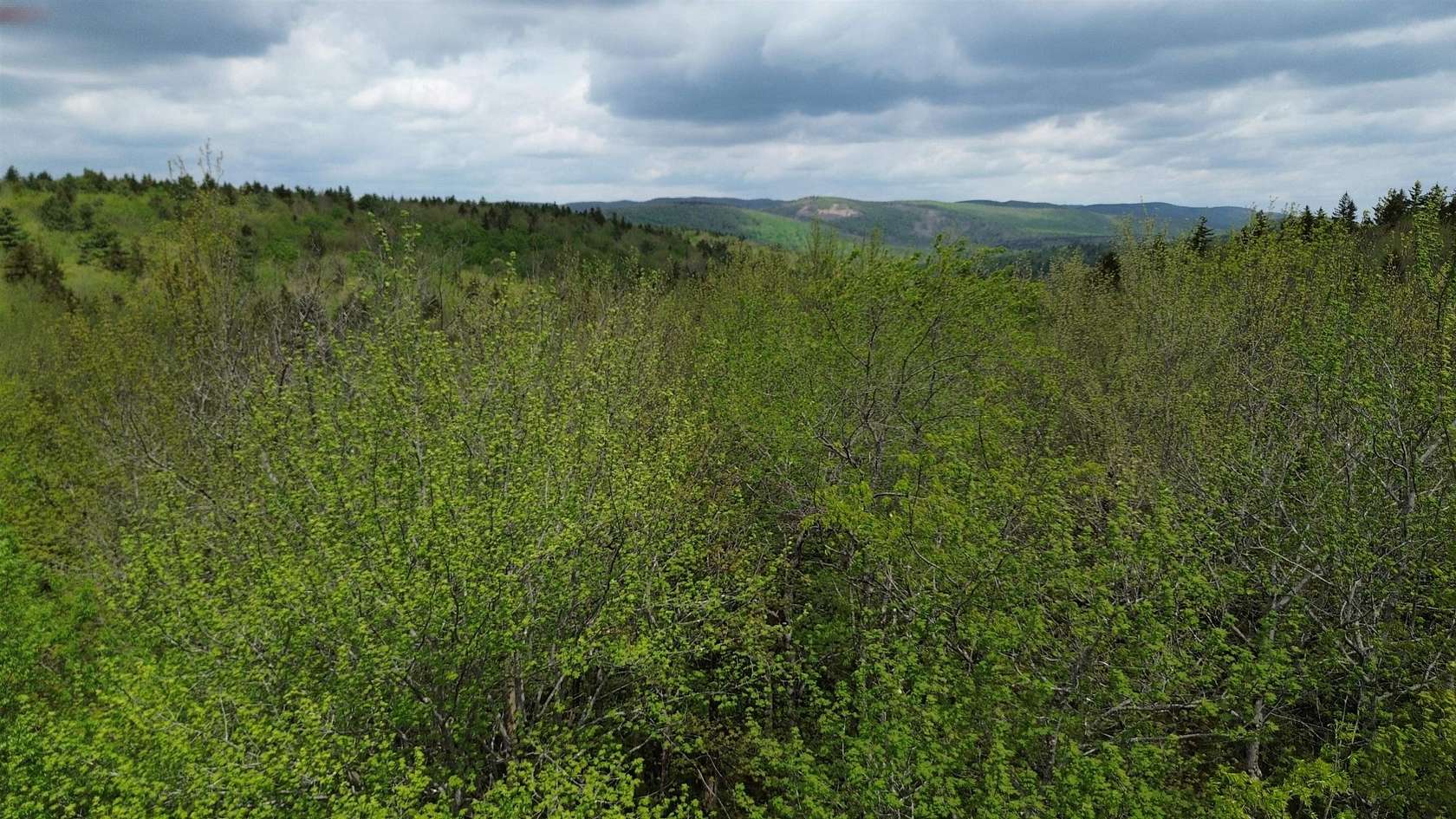 11.8 Acres of Recreational & Residential Land for Sale in Washington, New Hampshire