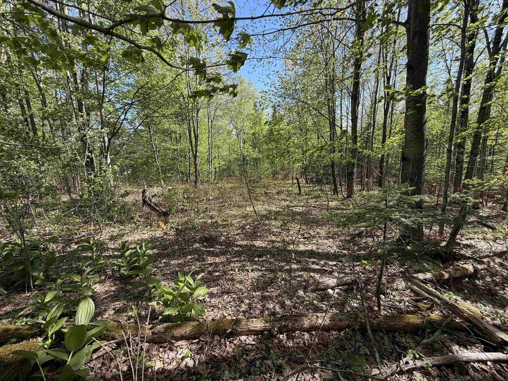 64.1 Acres of Recreational & Residential Land for Sale in Coventry, Vermont