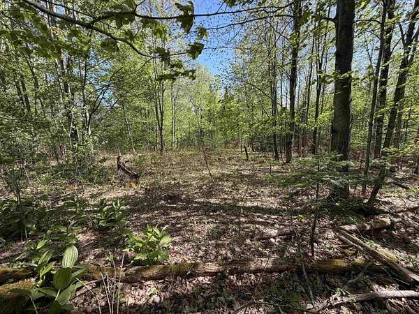 64.1 Acres of Recreational & Residential Land for Sale in Coventry, Vermont