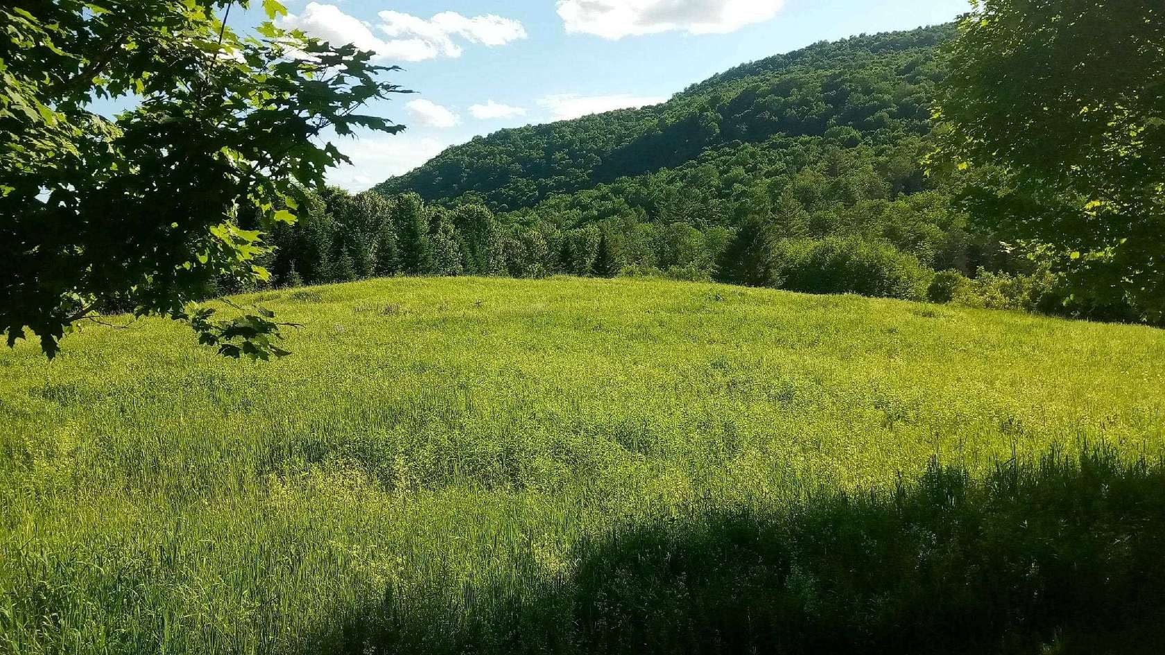 19.7 Acres of Land for Sale in Williamstown, Vermont
