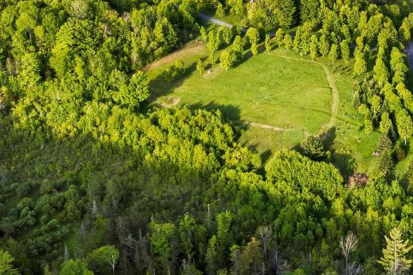 19.7 Acres of Land for Sale in Williamstown, Vermont
