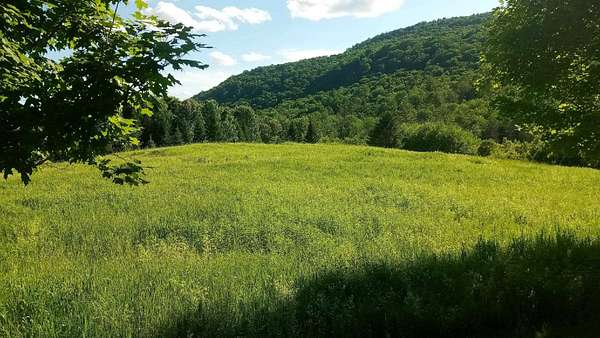 19.7 Acres of Land for Sale in Williamstown, Vermont