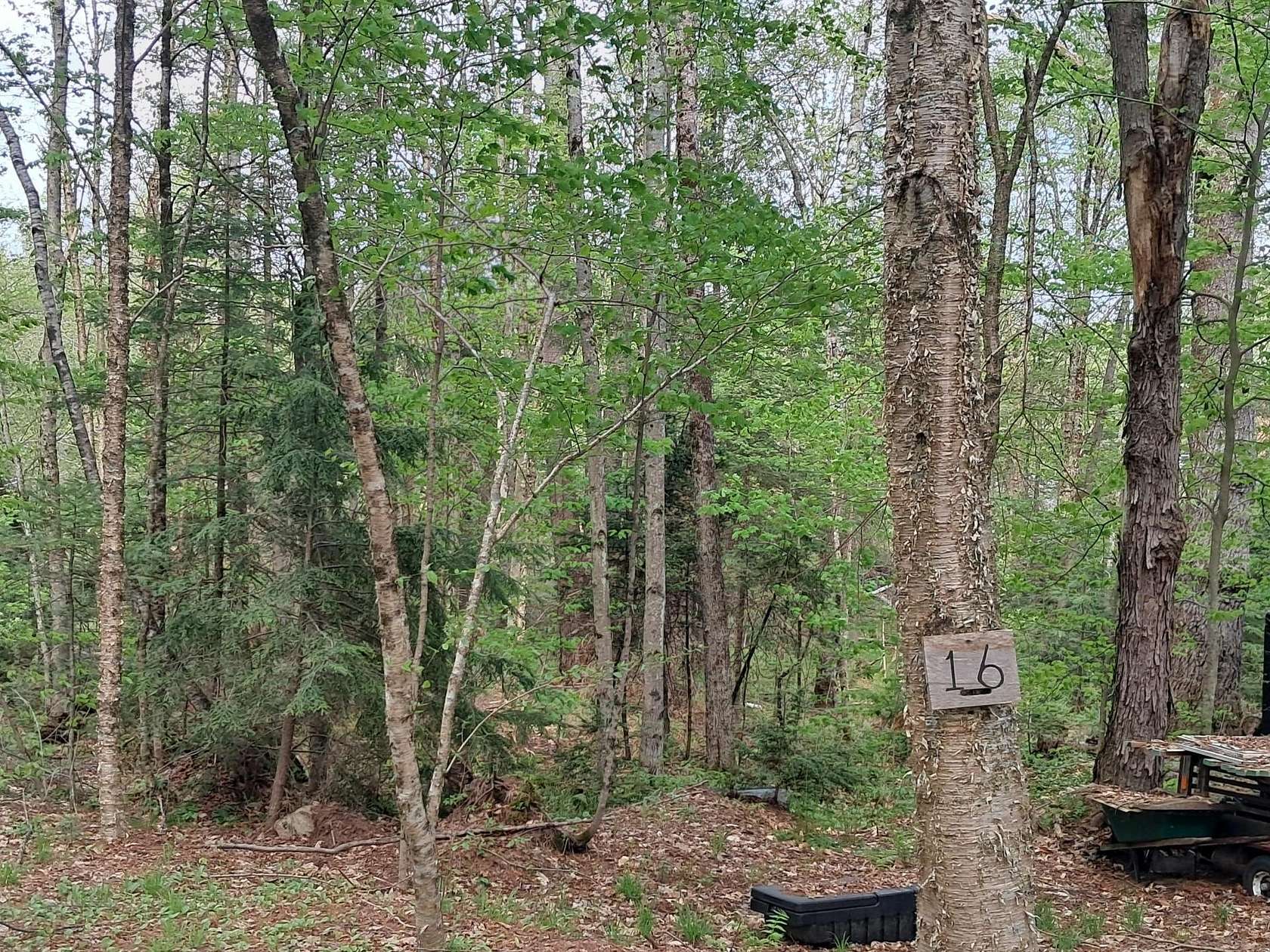 0.59 Acres of Residential Land for Sale in Danbury, New Hampshire