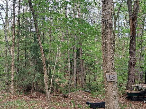 0.59 Acres of Residential Land for Sale in Danbury, New Hampshire