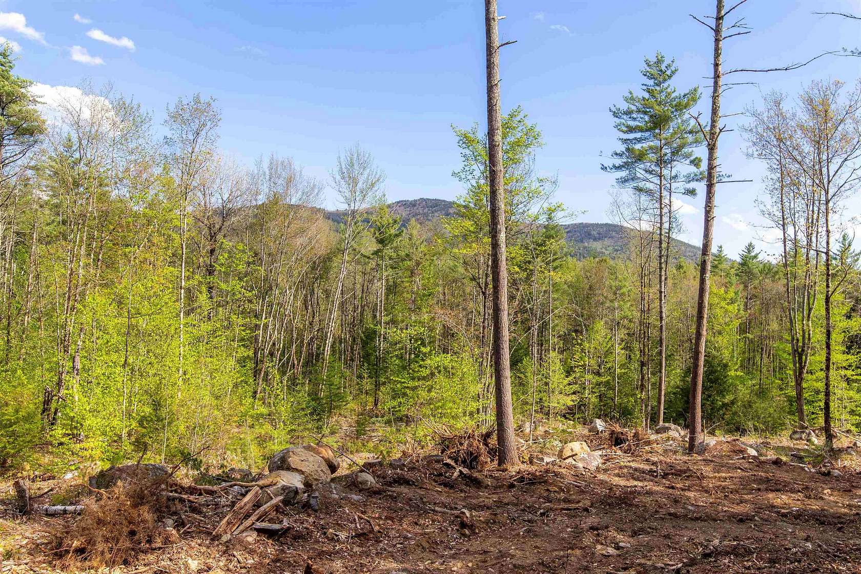 14.9 Acres of Land for Sale in Sandwich, New Hampshire