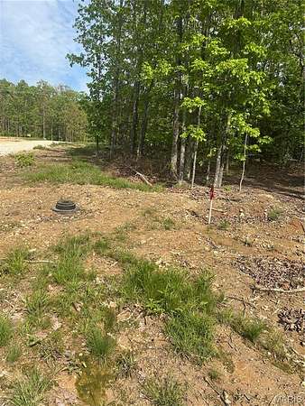 3 Acres of Residential Land for Sale in Salem, Missouri