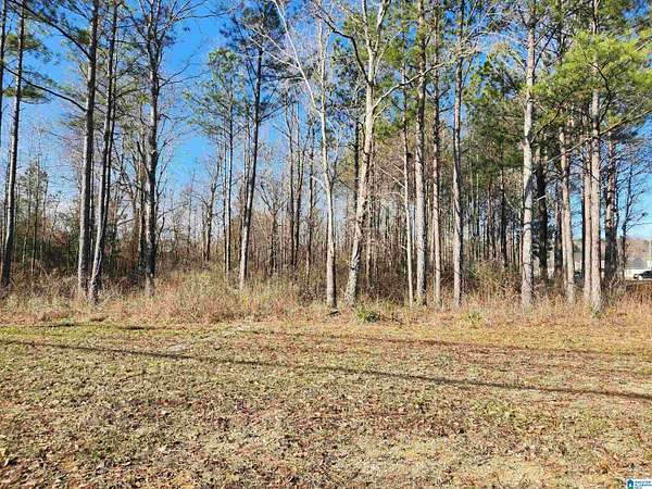 2 Acres of Land for Sale in Calera, Alabama