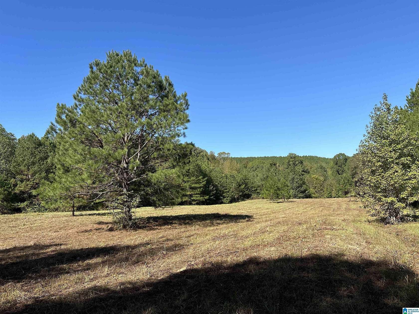 75 Acres of Land for Sale in Calera, Alabama