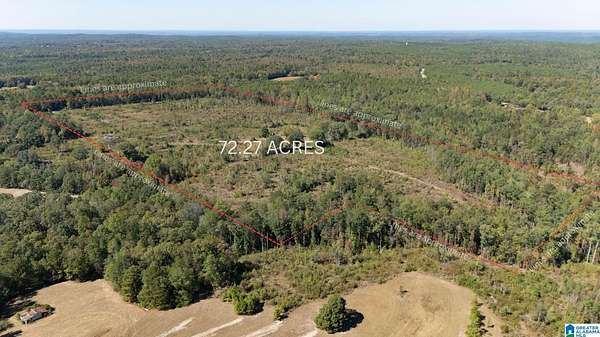 72.3 Acres of Land for Sale in Lawley, Alabama