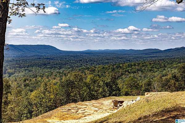 197 Acres of Land for Sale in Leeds, Alabama