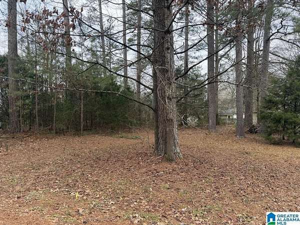 0.35 Acres of Residential Land for Sale in Pell City, Alabama