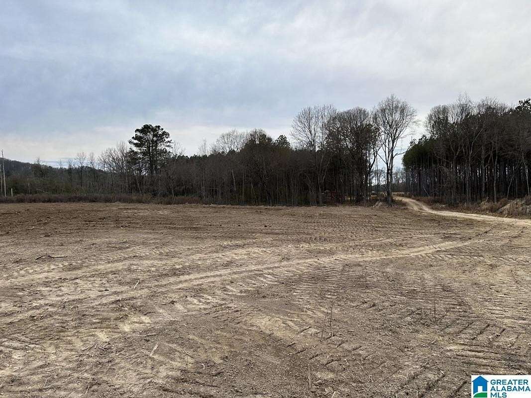 80 Acres of Recreational & Residential Land for Sale in Hokes Bluff, Alabama