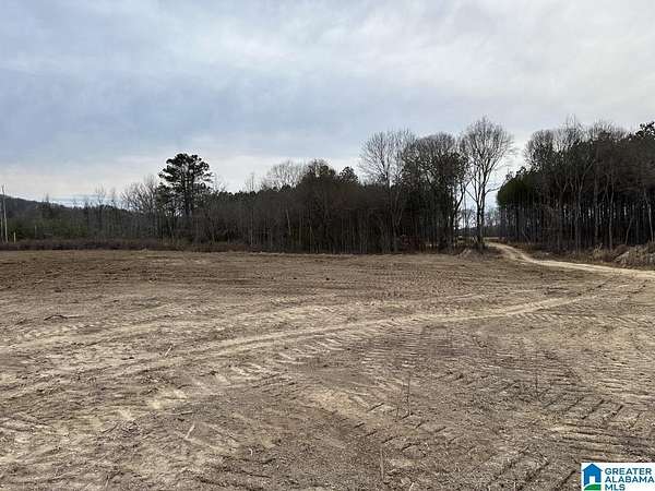 80 Acres of Recreational & Residential Land for Sale in Hokes Bluff, Alabama