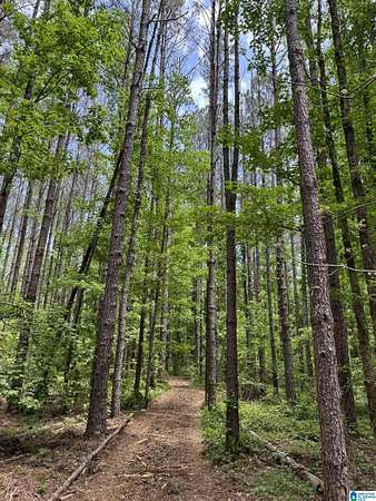 17.3 Acres of Land for Sale in West Blocton, Alabama