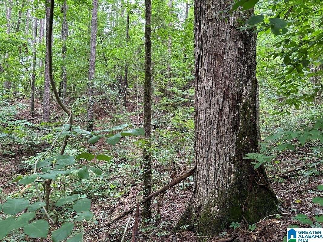 1.8 Acres of Residential Land for Sale in Northport, Alabama