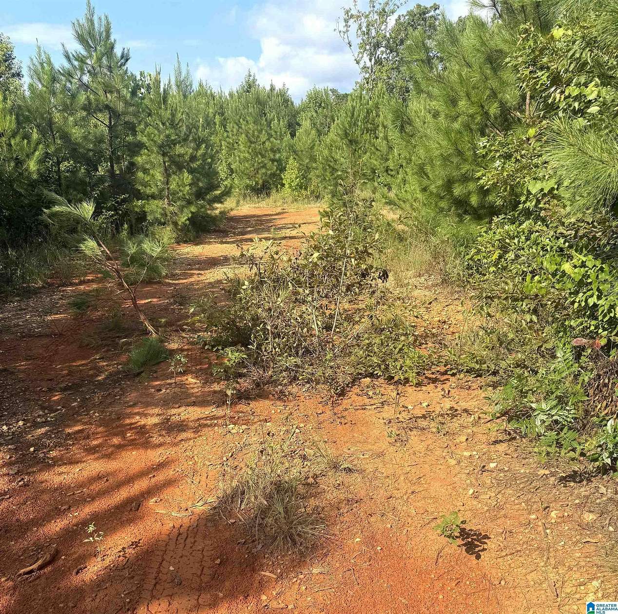 66 Acres of Recreational & Residential Land for Sale in Muscadine, Alabama