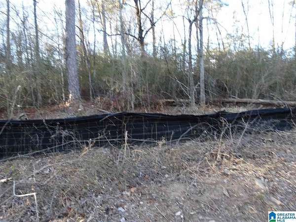 1 Acre of Land for Sale in Birmingham, Alabama