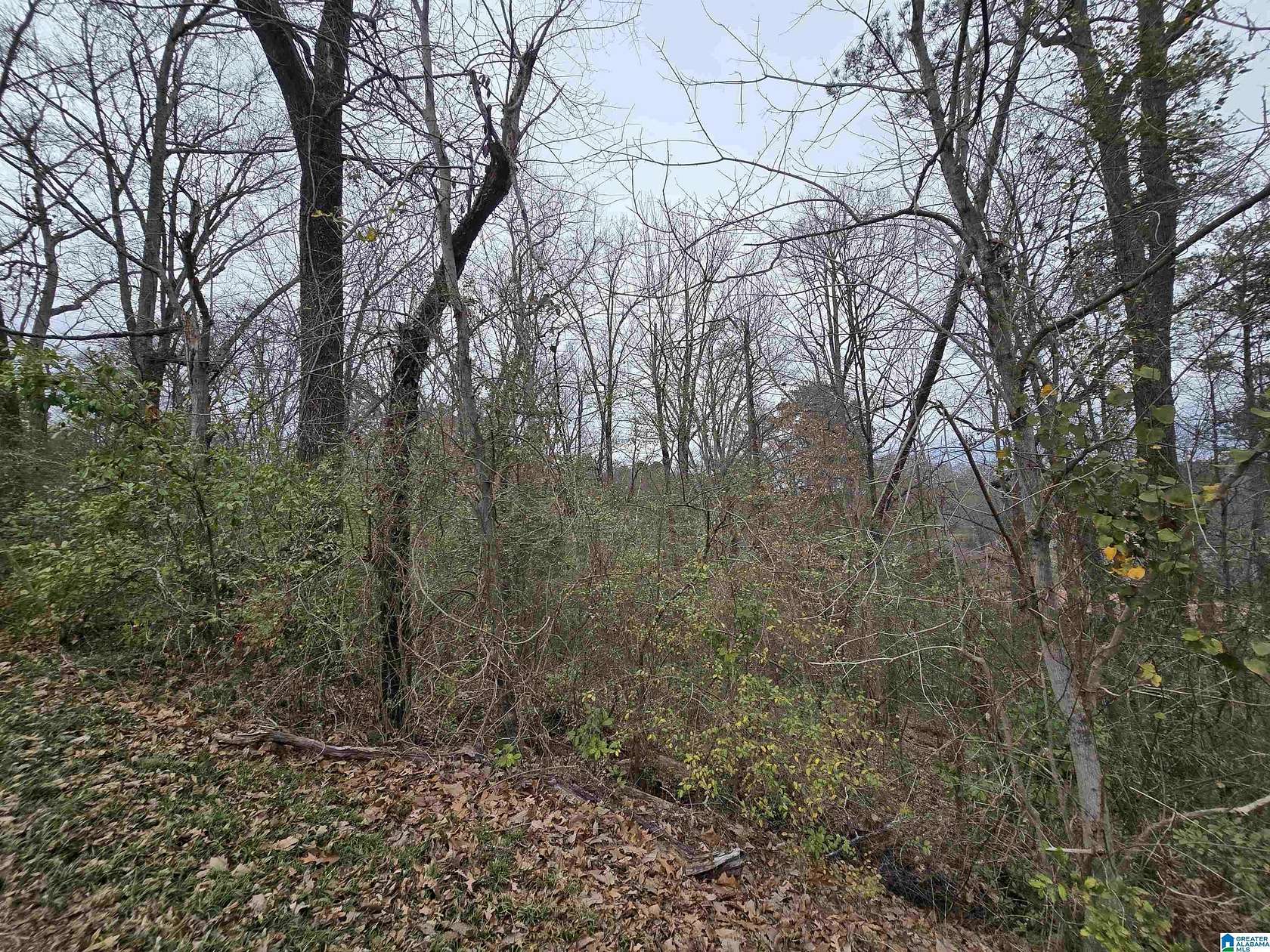 0.71 Acres of Residential Land for Sale in Birmingham, Alabama