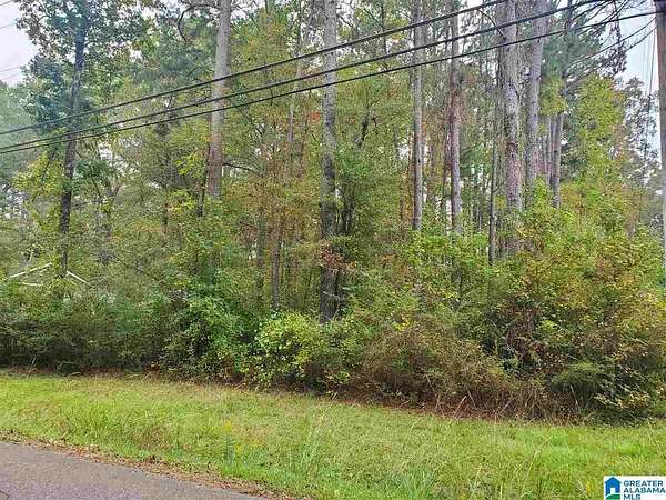 0.25 Acres of Residential Land for Sale in Bessemer, Alabama