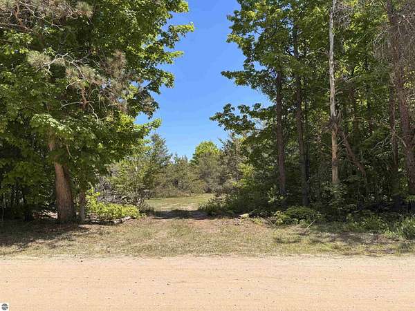 10 Acres of Land for Sale in Beulah, Michigan