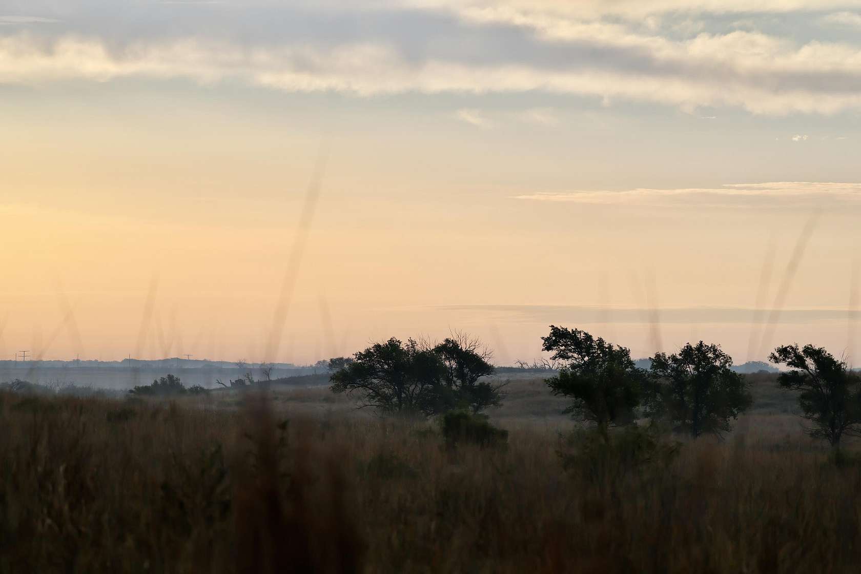 320 Acres of Land for Sale in Turkey, Texas