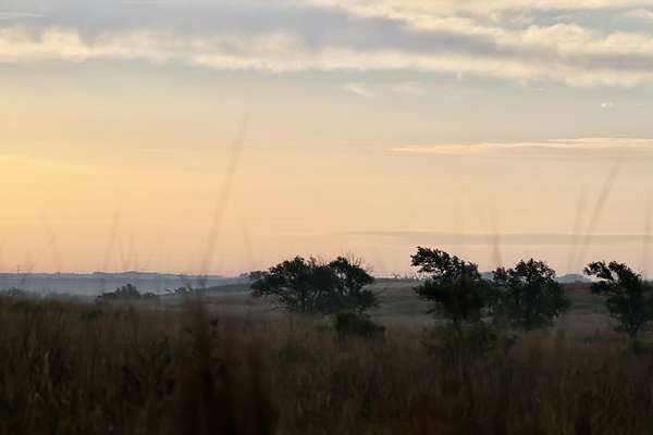 320 Acres of Land for Sale in Turkey, Texas