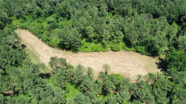125 Acres of Recreational Land for Sale in Elrod, Alabama
