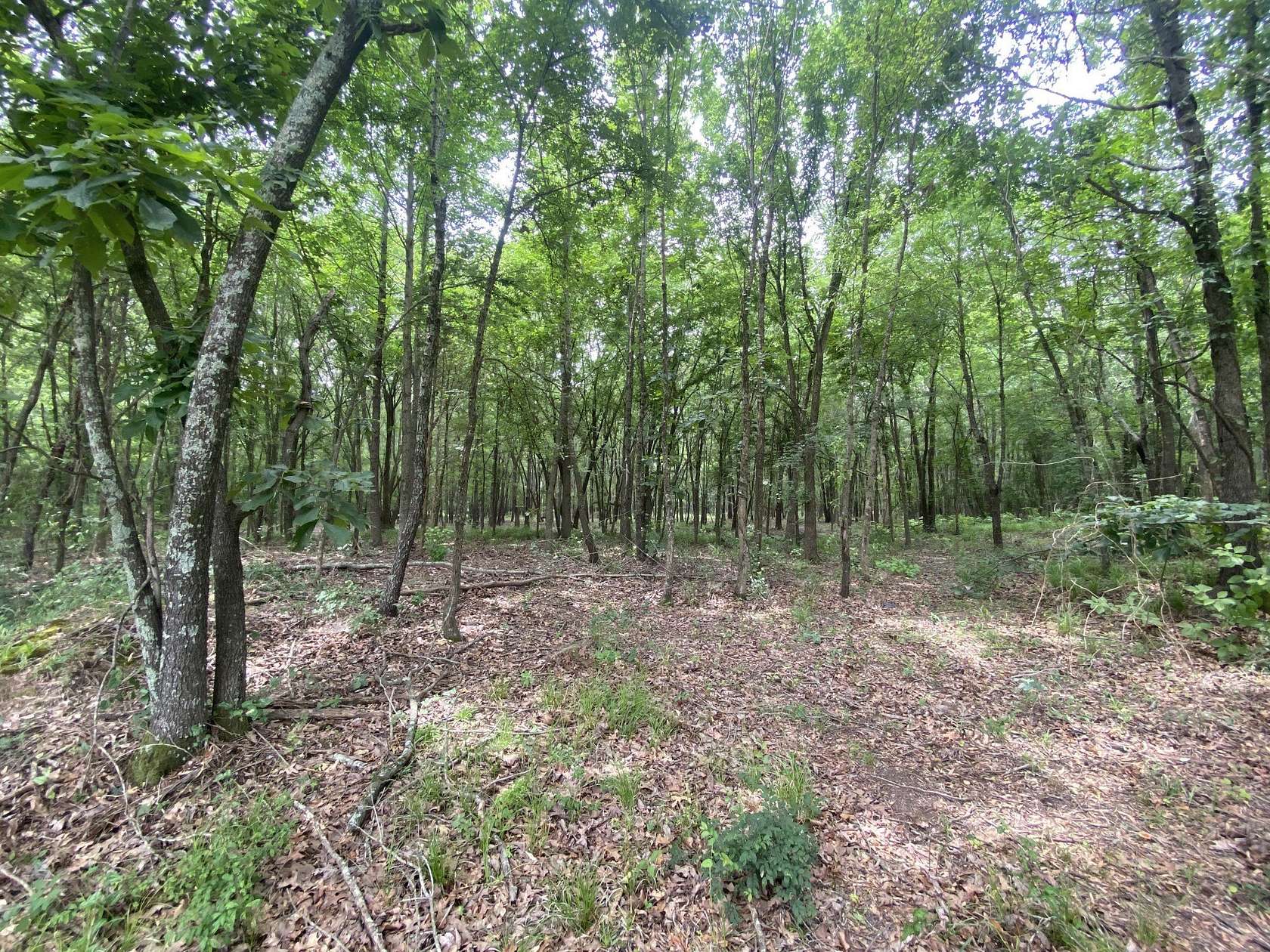 8.52 Acres of Residential Land for Sale in Mount Pleasant, Texas
