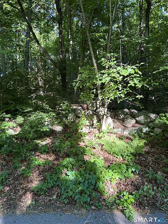 2 Acres of Residential Land for Sale in Wilton, Connecticut