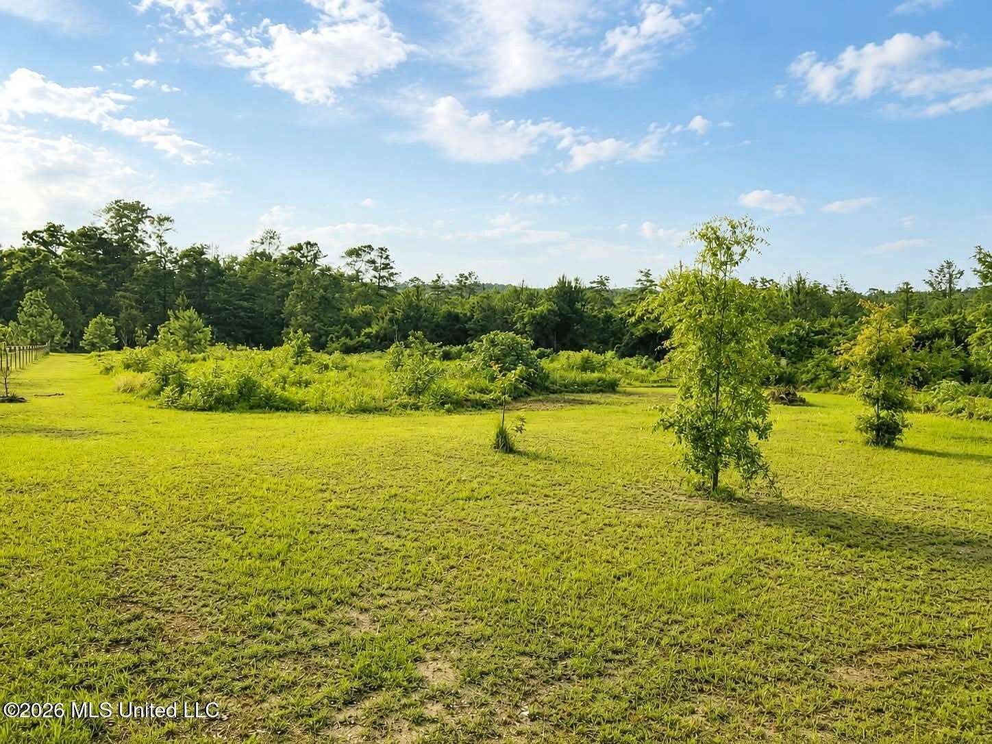 18.5 Acres of Recreational & Residential Land for Sale in Lucedale, Mississippi