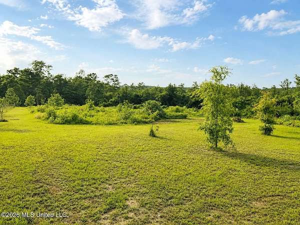 18.5 Acres of Recreational & Residential Land for Sale in Lucedale, Mississippi