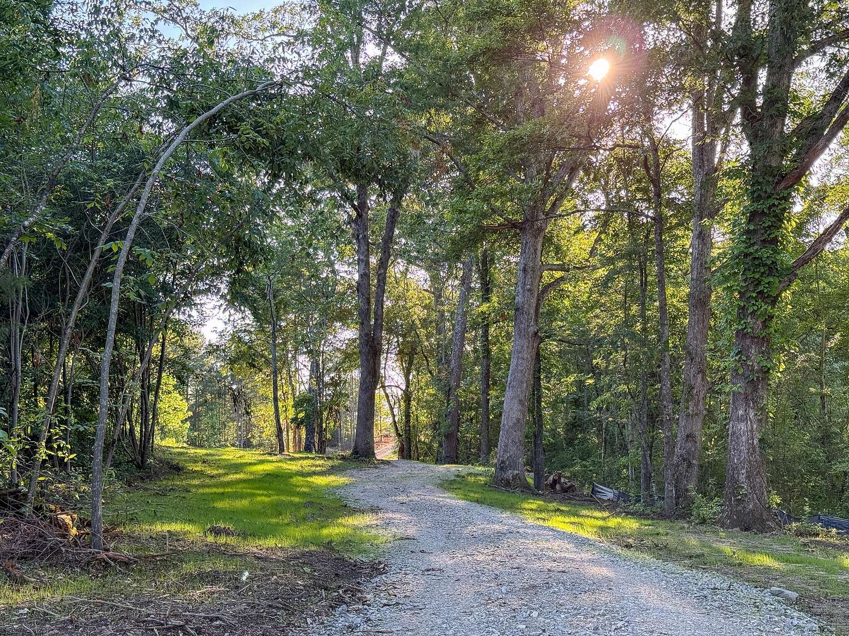 10 Acres of Recreational Land for Sale in Trenton, Georgia